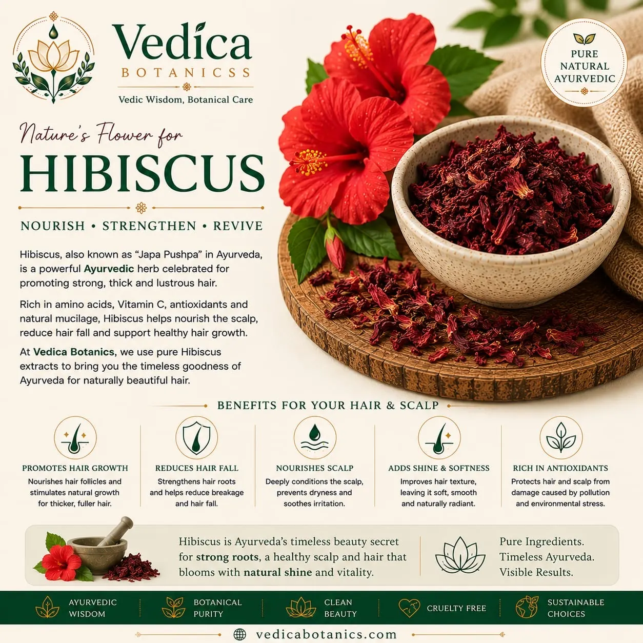 Hibiscus benefits by Vedica Botanics